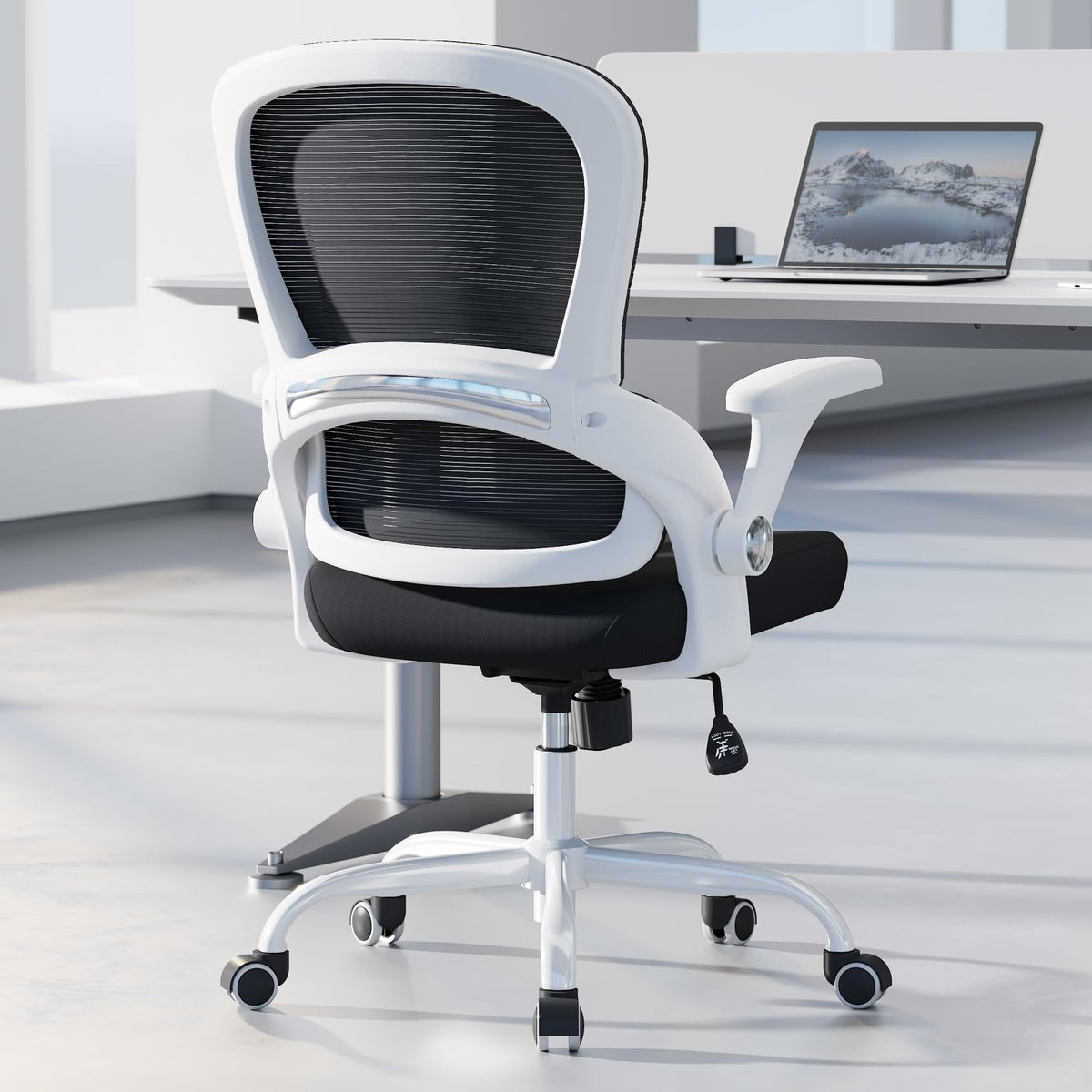 TRALT Office Chair - Ergonomic Office Chair with Back Support for Adults