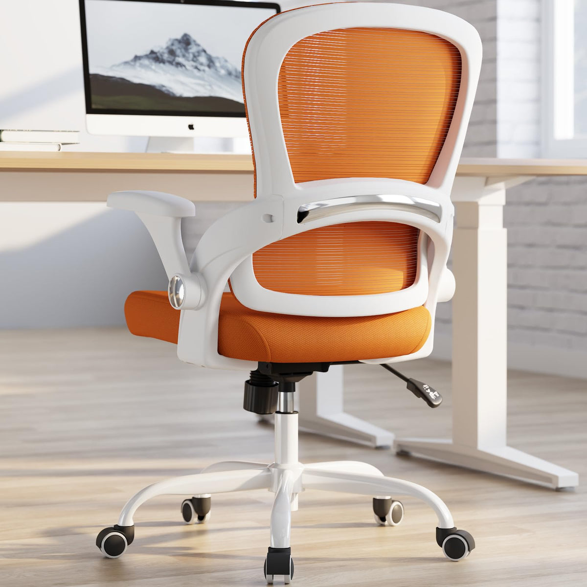 TRALT Office Chair - Ergonomic Office Chair with Back Support for Adults