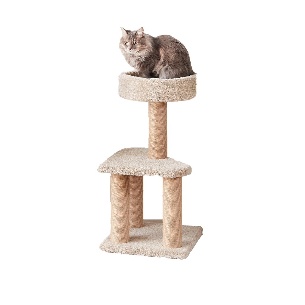 Amazon Basics Cat Tree Tower - Multi-Level Climbing Activity Center for Indoor Cats & Kittens with Scratching Posts, Platform, Jute Rope, Large (45.9"H), Beige