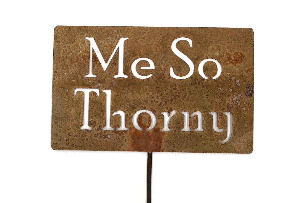 Funny Garden Stake 20 to 33 Inches Tall (The Vineyard, Large 28" Tall)