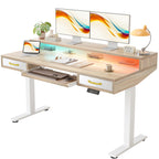 TIQLAB Standing Desk with Two Drawers, Stand Up Standing Desk Adjustable Height, Electric Sit Stand Table with Storage Shelf and Splice Board, with LED Light, 55 * 28 inch, Maple
