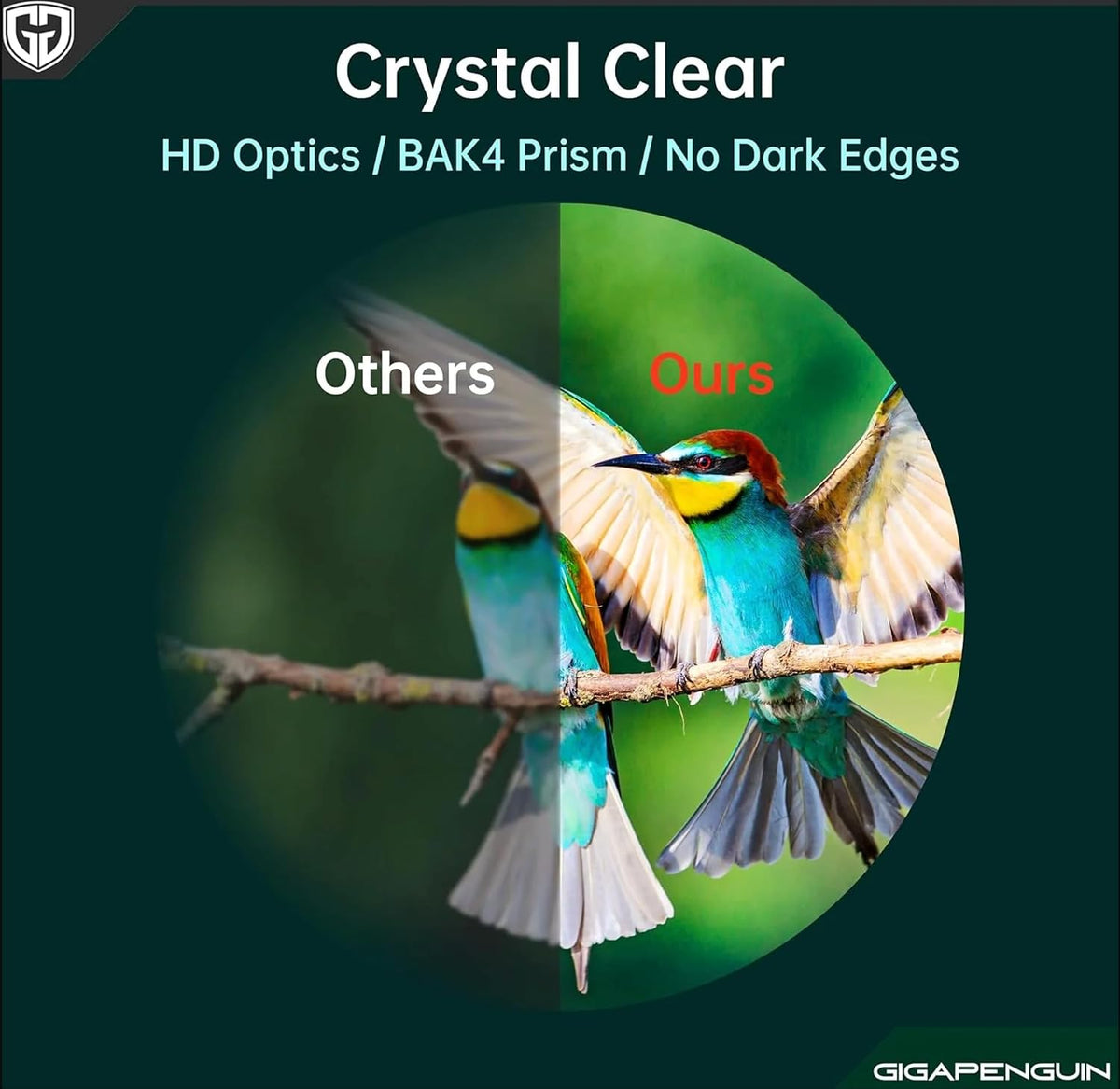 Osmo Optic Edge Binoculars, High Powered with Upgraded Phone Adapter