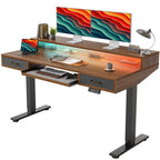 TIQLAB Standing Desk with Two Drawers, Stand Up Standing Desk Adjustable Height, Electric Sit Stand Table with Storage Shelf and Splice Board, with LED Light, 55 * 28 inch, Maple