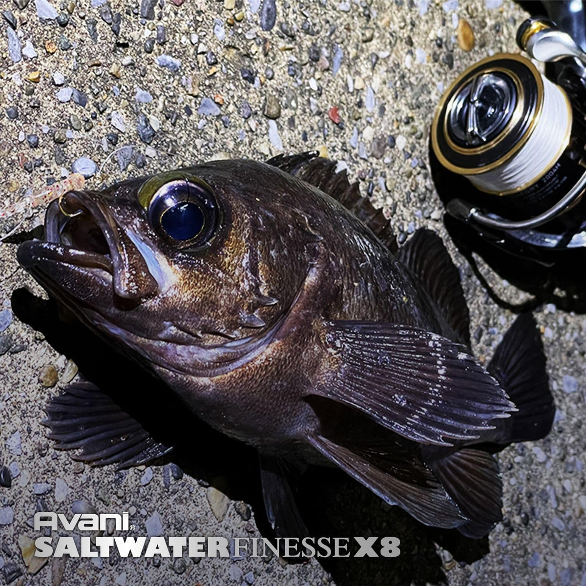 VARIVAS Avani Saltwater Finesse PE X8