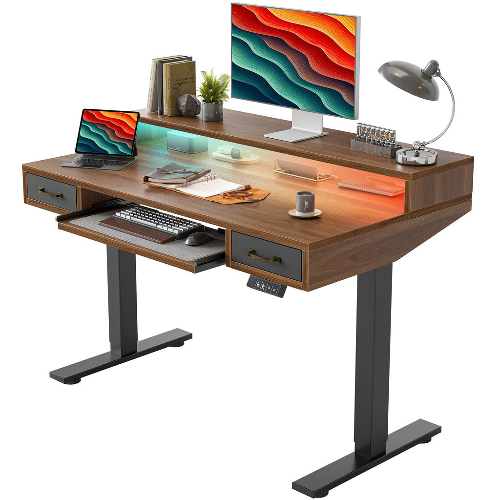 TIQLAB Standing Desk with Two Drawers, Stand Up Standing Desk Adjustable Height, Electric Sit Stand Table with Storage Shelf and Splice Board, with LED Light, 55 * 28 inch, Maple