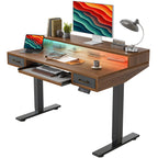 TIQLAB Standing Desk with Two Drawers, Stand Up Standing Desk Adjustable Height, Electric Sit Stand Table with Storage Shelf and Splice Board, with LED Light, 55 * 28 inch, Maple