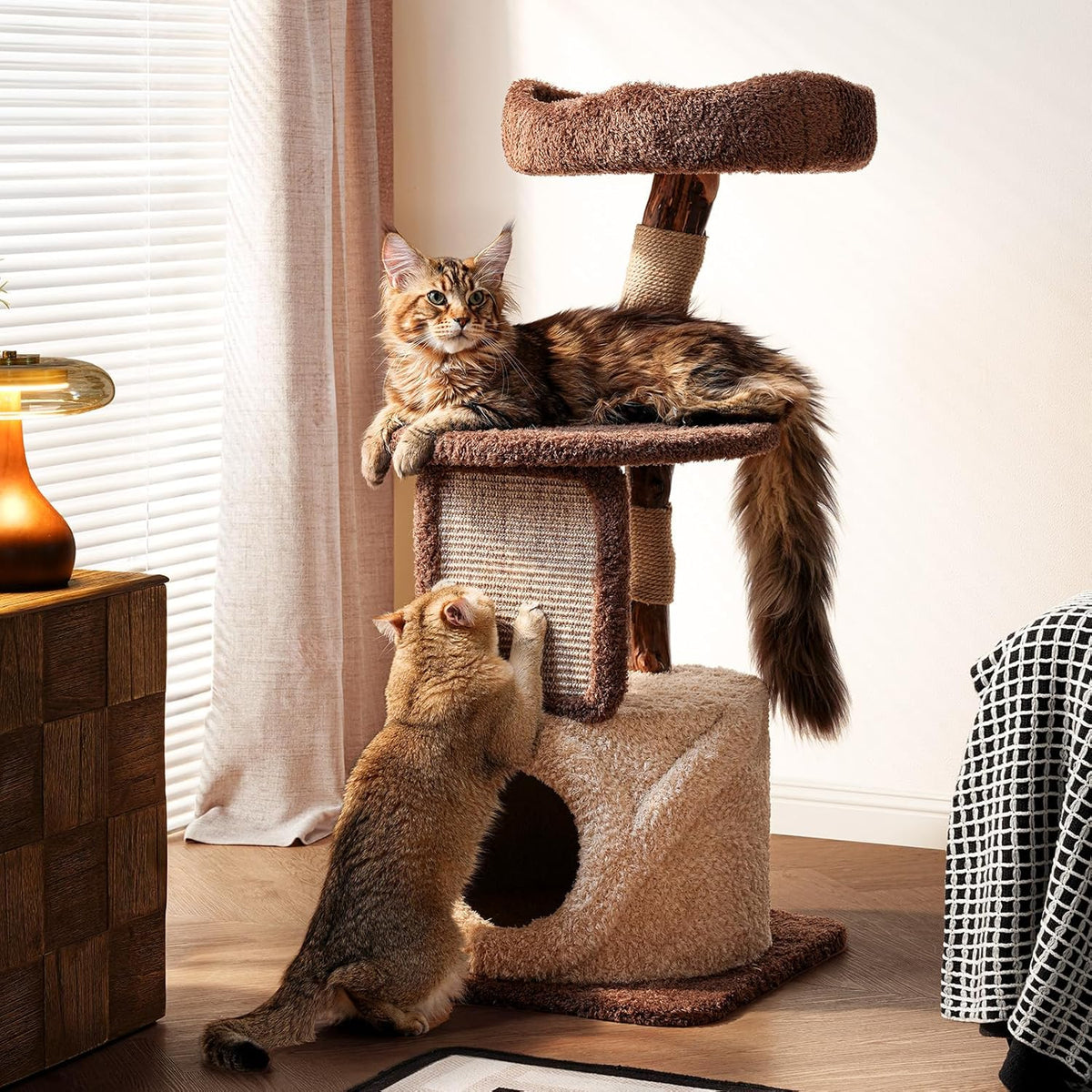 Sopapets 40" Small Cat Tree for Apartments, Modern Cat Tower for Indoor Cats with Solid Wood Branch, Sisal Scratching Posts, Plush Perches and Hideaway Condo, Brown