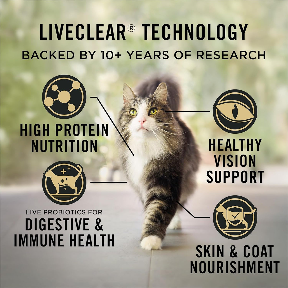 Purina Pro Plan LiveClear Allergen Reducing Dry Cat Food, Chicken, 16 lb