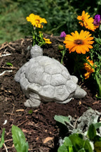 Concrete Box Turtle Statue Detailed Wild Turtle Figurine Outdoor Massive Turtle Sculpture