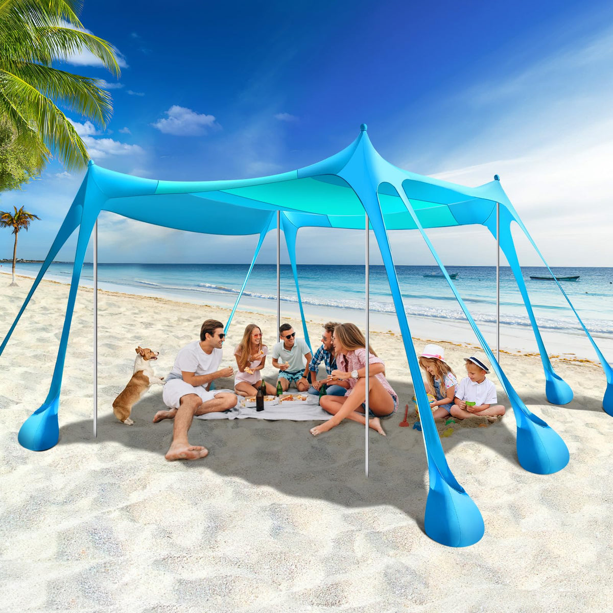 Rhino Valley 10 x 10 FT Beach Tent UPF50+ with 8 Sandbags 4 Poles, Sky Blue