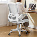 Ergonomic Office Chair Desk Chair with Adjustable Lumbar Support