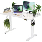 Claiks Electric Height Adjustable Standing Desk, 48x24 Inch, Nature