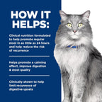 Hill's Prescription Diet GI Biome Stress Digestive/Fiber Care Dry Cat Food