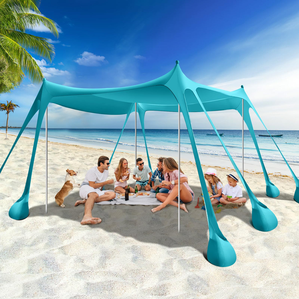 Rhino Valley 10 x 10 FT Beach Tent UPF50+ with 8 Sandbags 4 Poles, Sky Blue