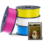SUNLU PLA+2.0 3D Printer Filament, Multicolor, 10-Pack (10KG)