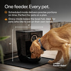 Feeder-Robot by Whisker, Black with Smoke-Grey Hopper