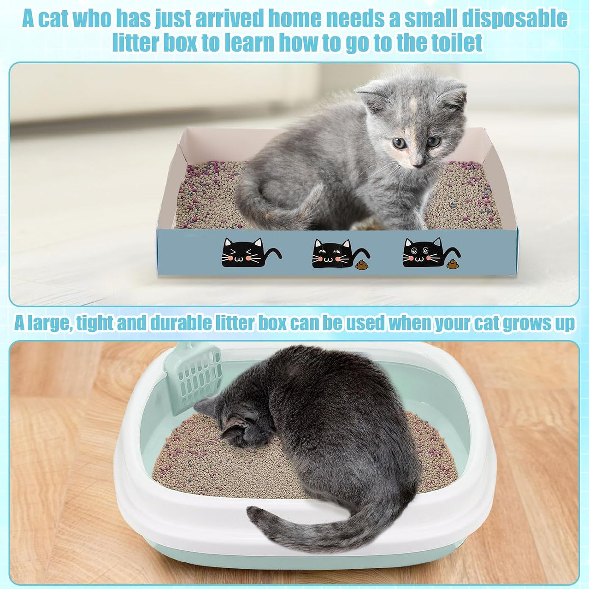 40 Pcs Kitten Starter Kit for Indoor Cats Include Litter Box, Carrier, Cat Bed, Climbing Post, Scratch Pad, Hammock, Feed Bowls, Mat, Collars, Nail File and More for Kitten Supplies Welcome Gift(Blue)