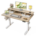 TIQLAB Standing Desk with Two Drawers, Stand Up Standing Desk Adjustable Height, Electric Sit Stand Table with Storage Shelf and Splice Board, with LED Light, 55 * 28 inch, Maple