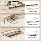 TIQLAB Standing Desk with Two Drawers, Stand Up Standing Desk Adjustable Height, Electric Sit Stand Table with Storage Shelf and Splice Board, with LED Light, 55 * 28 inch, Maple