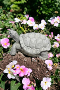 Concrete Box Turtle Statue Detailed Wild Turtle Figurine Outdoor Massive Turtle Sculpture