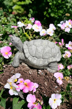 Concrete Box Turtle Statue Detailed Wild Turtle Figurine Outdoor Massive Turtle Sculpture