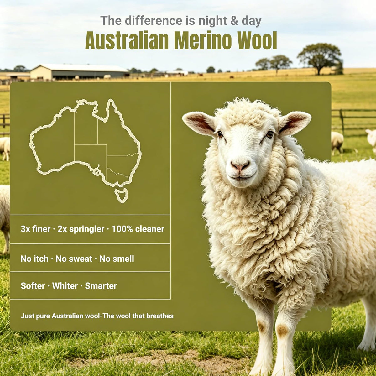 100% Australian Wool Comforter Queen-All Season Breathable Duvet Insert
