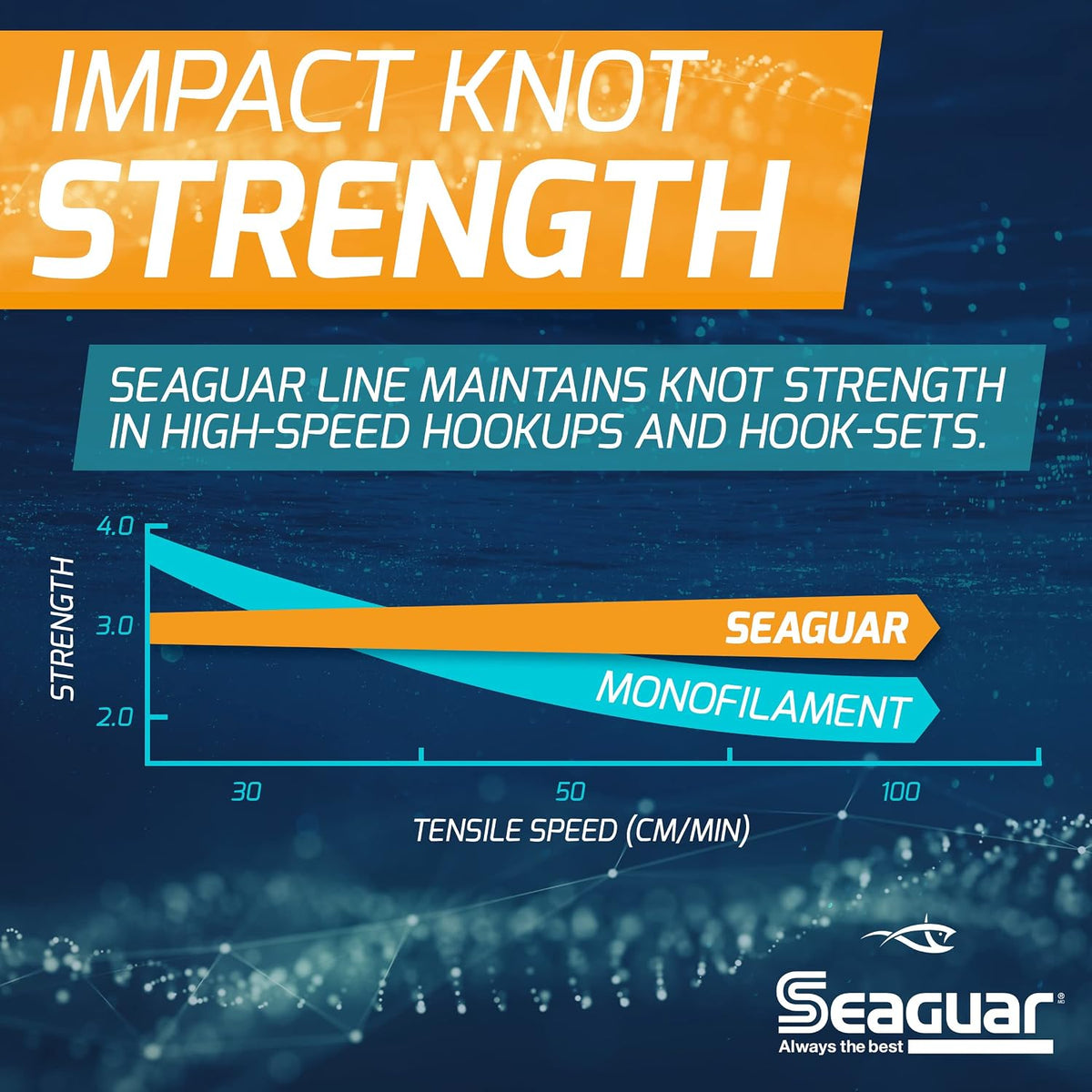 Seaguar Blue Label Fishing Leader Line for Saltwater, 100% Fluorocarbon, Clear, Multiple Sizes