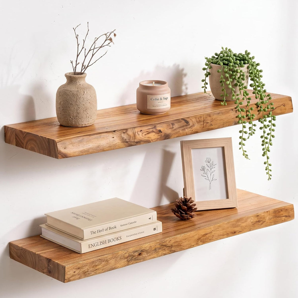 Live Edge Elm Floating Shelves - 24 In Rustic Solid Wood Shelves with Heavy-Duty Invisible Bracket, Wall-Mounted Wooden Shelf for Living Room, Bathroom, Kitchen Storage & Display, Set of 2, Natural