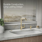 Contemporary Garbage Disposal Air Switch Kit