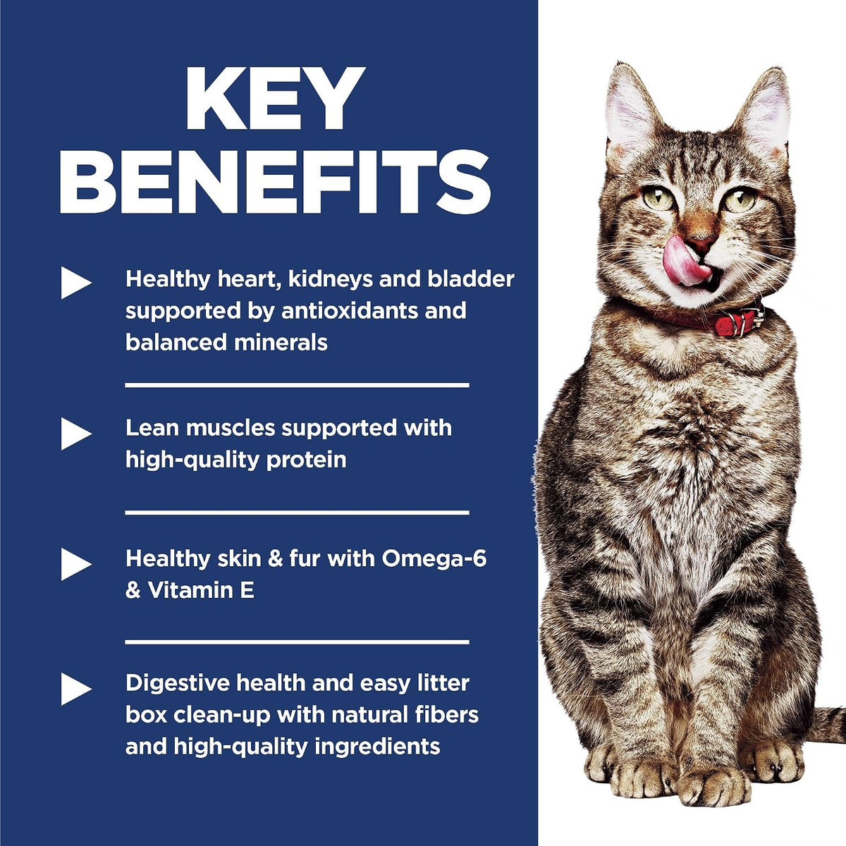 Hill's Science Diet Adult 7+ Indoor Dry Cat Food