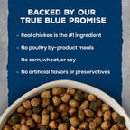 Blue Buffalo Wilderness Chicken Adult Indoor Dry Cat Food, Grain-Free 15 lb