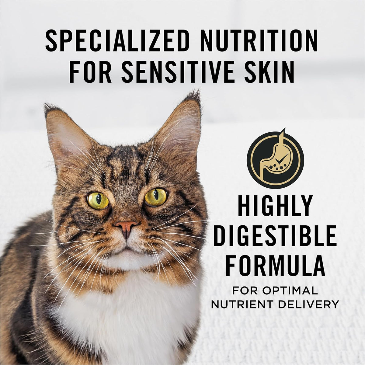 Purina Pro Plan Sensitive Skin & Stomach Dry Cat Food, Real Lamb, 16 lb Bag