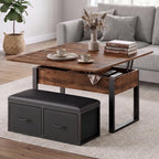 31.5'' Lift Top Coffee Table with Storage Bench, Rustic Brown