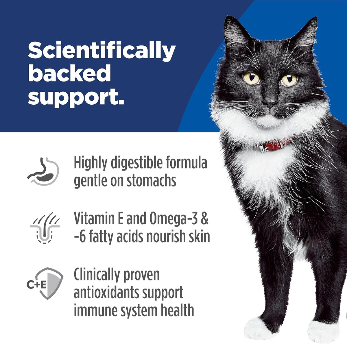Hill's Science Diet Sensitive Stomach & Skin Grain-Free Dry Cat Food